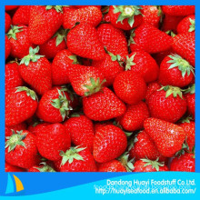 High quality bulk fresh frozen strawberry honey strawberry